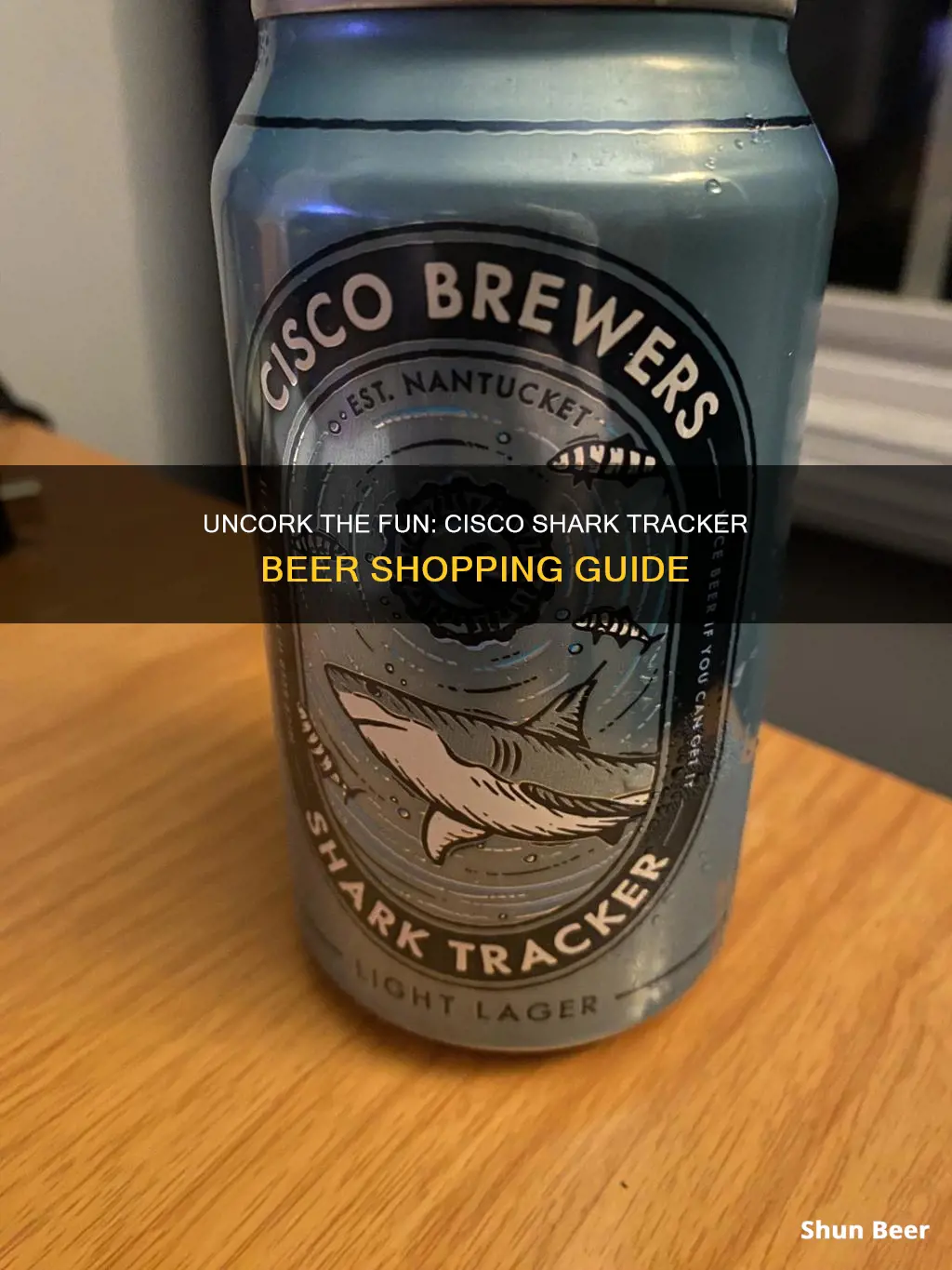 where to buy cisco shark tracker beer