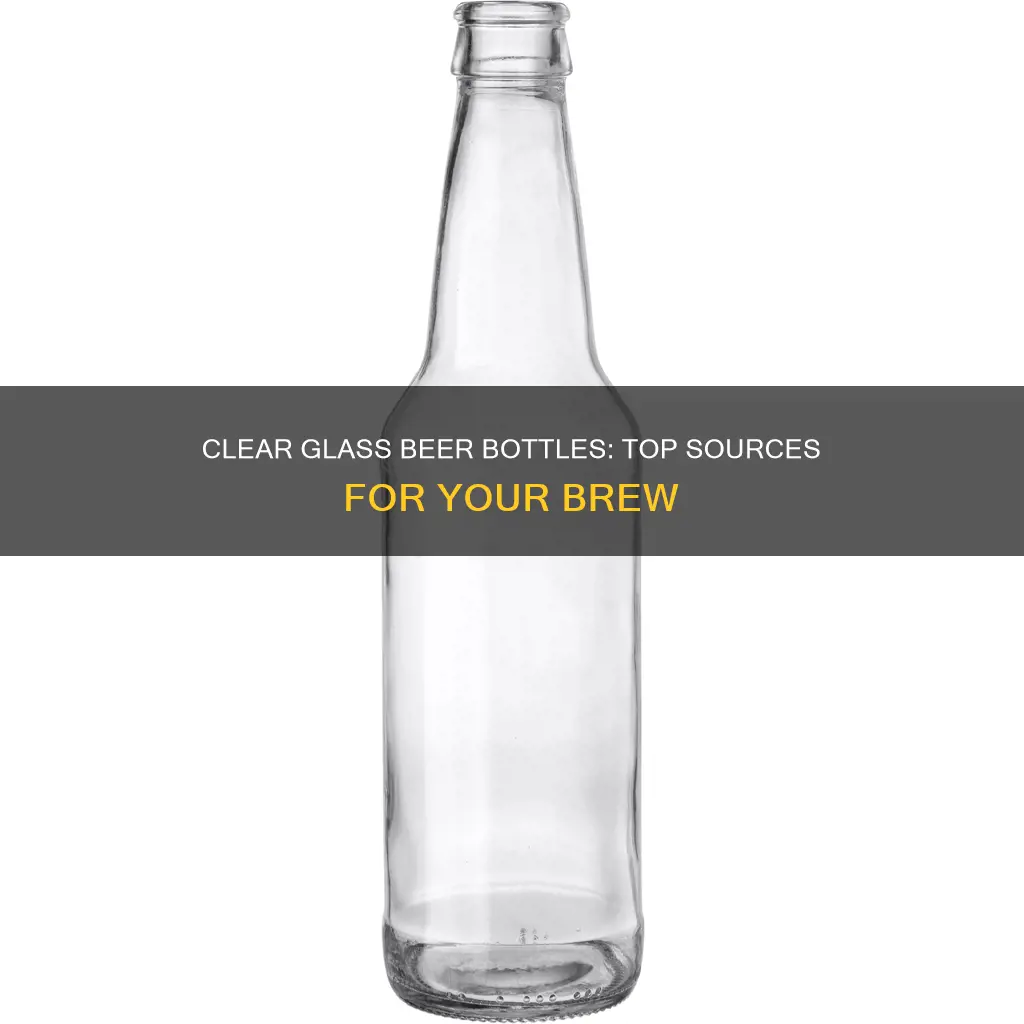 where to buy clear glass beer bottles