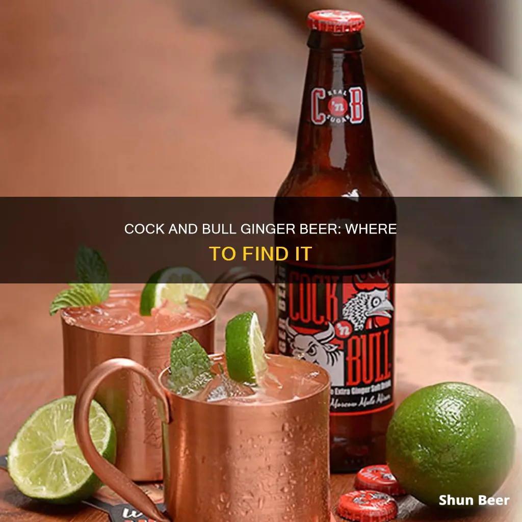 where to buy cock and bull ginger beer