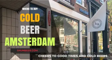 Chill Out: Amsterdam's Best Spots for Cold Beer