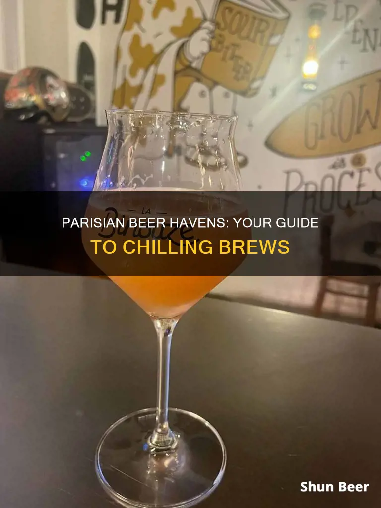 where to buy cold beer in paris