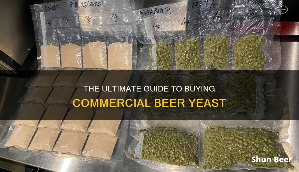 where to buy commercial beer yeast