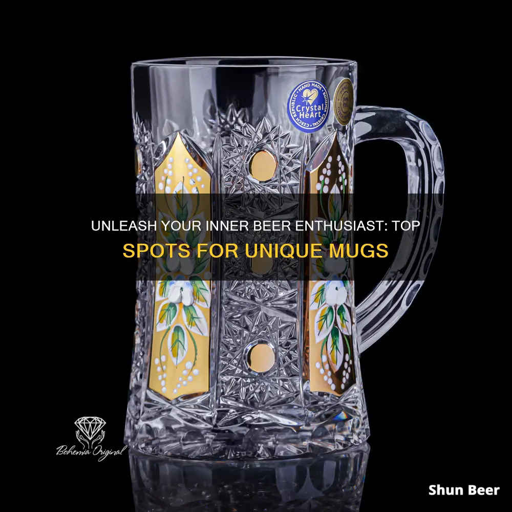 where to buy cool beer mugs