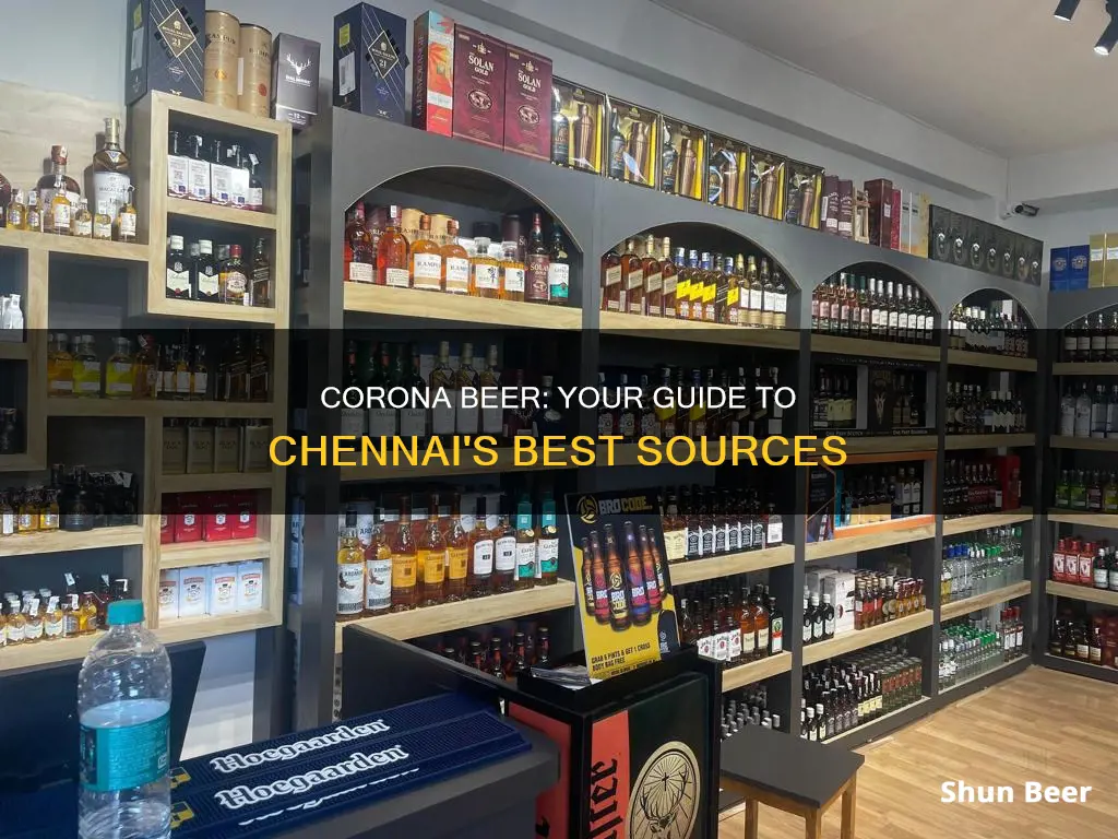 where to buy corona beer in chennai