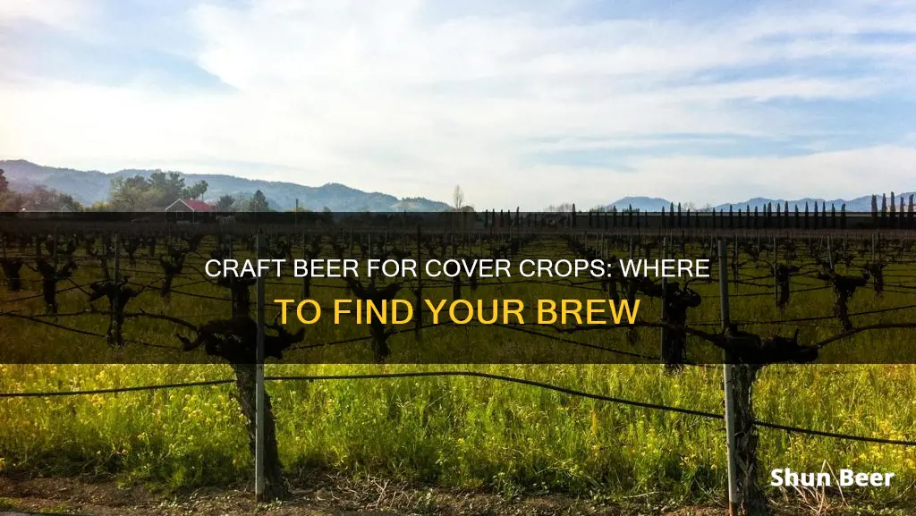 where to buy cover crop beer