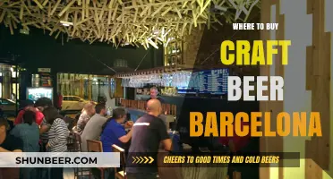 Barcelona's Best Craft Beer Spots: A Guide to Local Breweries