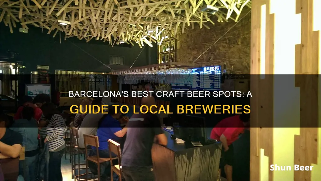 where to buy craft beer barcelona