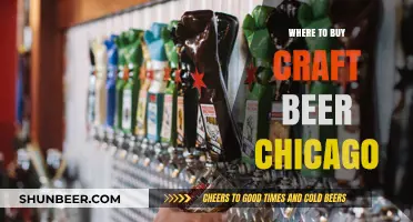 Chicago's Best Craft Beer Spots: A Guide to Local Brews