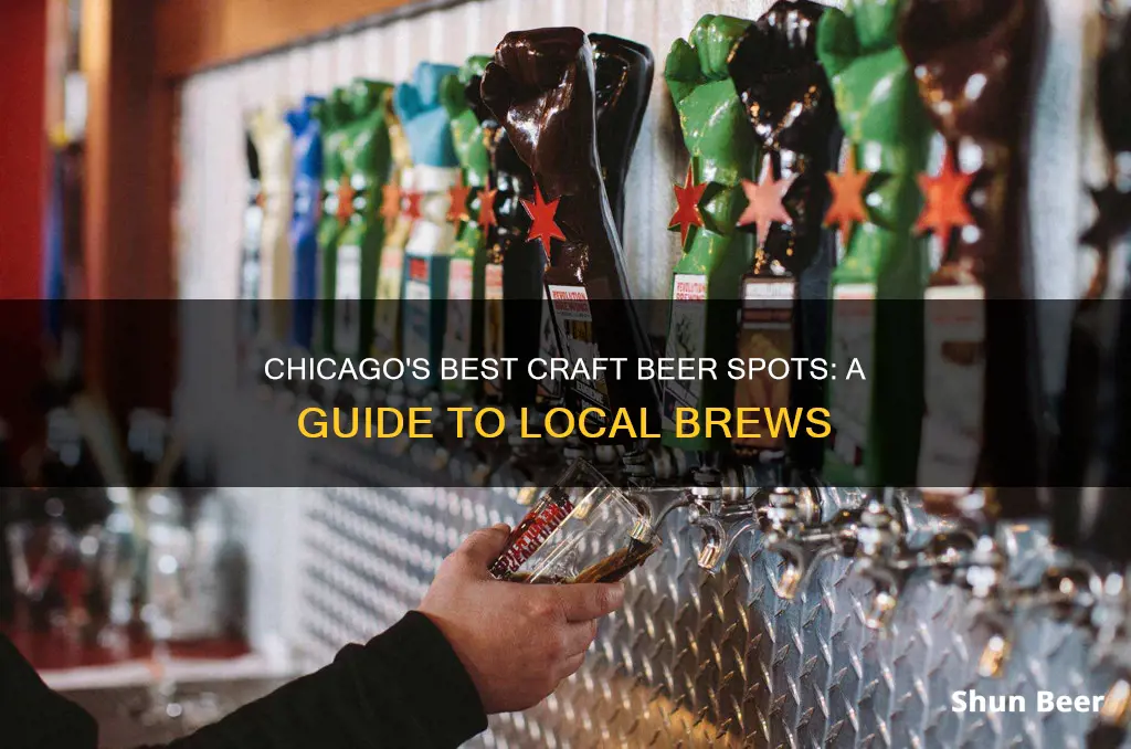 where to buy craft beer chicago