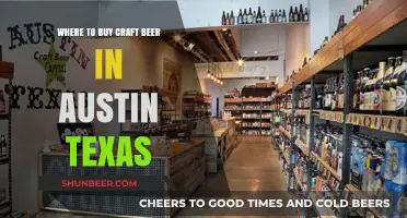 Craft Beer Haven: Austin's Top Spots for Beer Enthusiasts