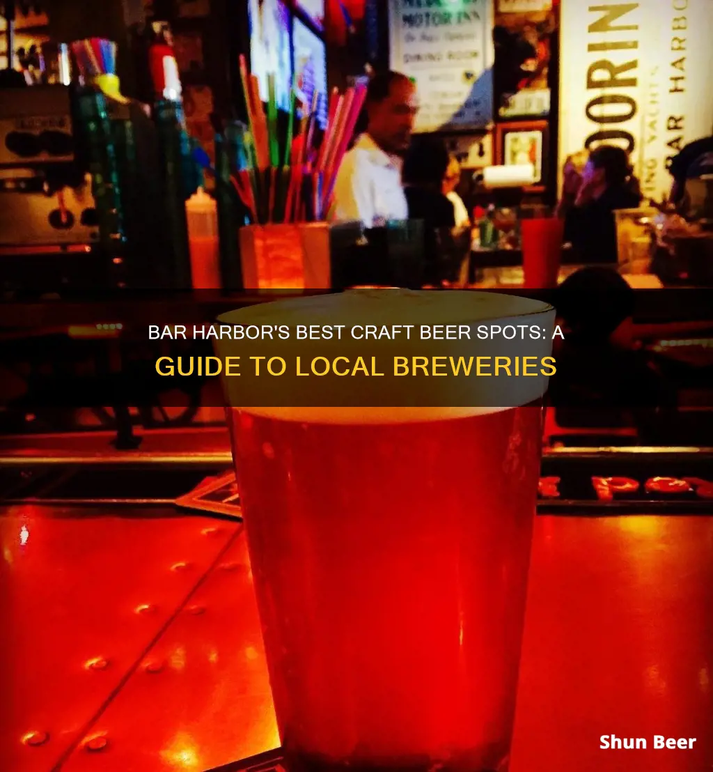 where to buy craft beer in bar harbor maine