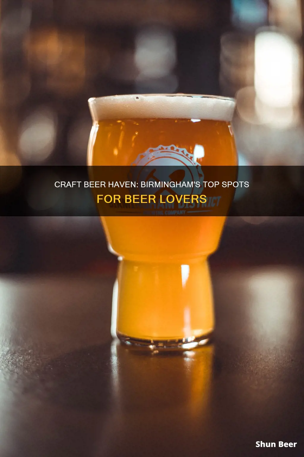 where to buy craft beer in birmingham al