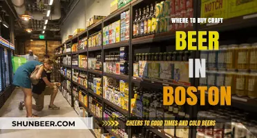 Boston's Best Craft Beer Spots: A Guide to Local Breweries