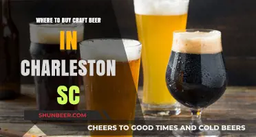 Charleston's Best Craft Beer Spots: A Local's Guide