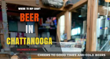 Chattanooga's Craft Beer Scene: Top Spots to Discover Local Brews