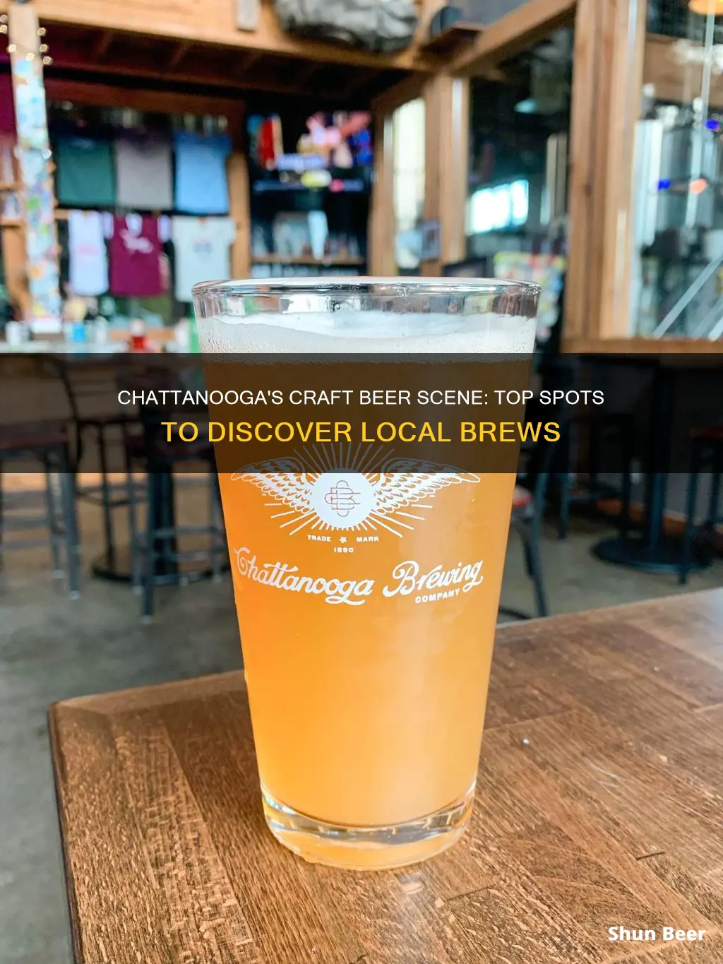 where to buy craft beer in chattanooga