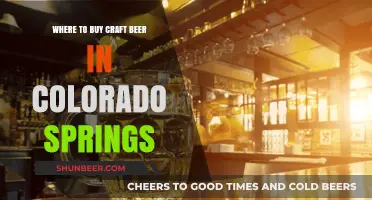 Craft Beer Haven: Top Spots in Colorado Springs