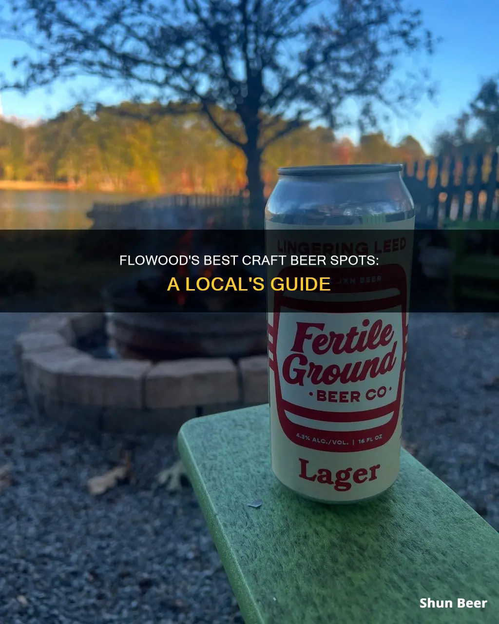 where to buy craft beer in flowood ms