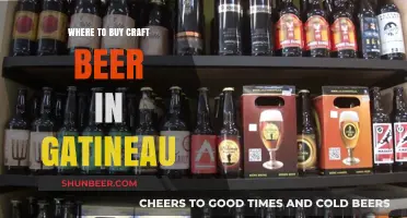 Gatineau's Best Craft Beer Spots: A Local's Guide