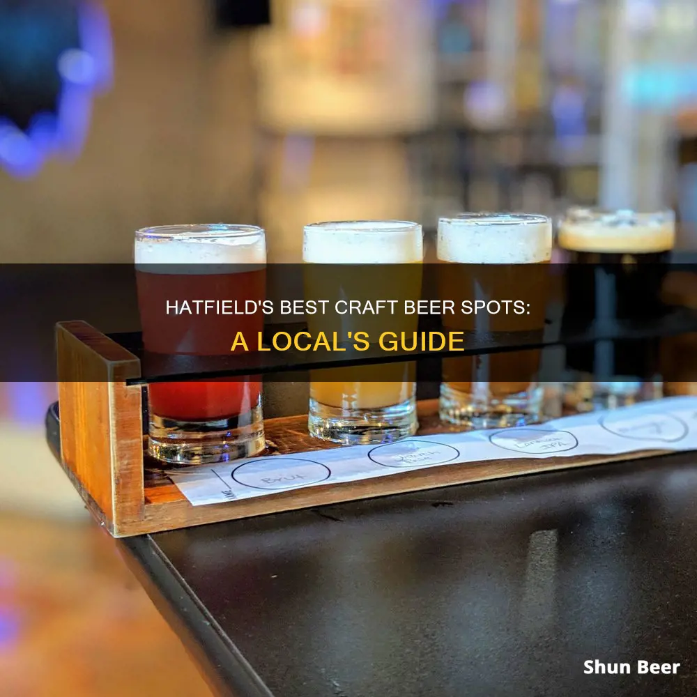 where to buy craft beer in hatfield pa