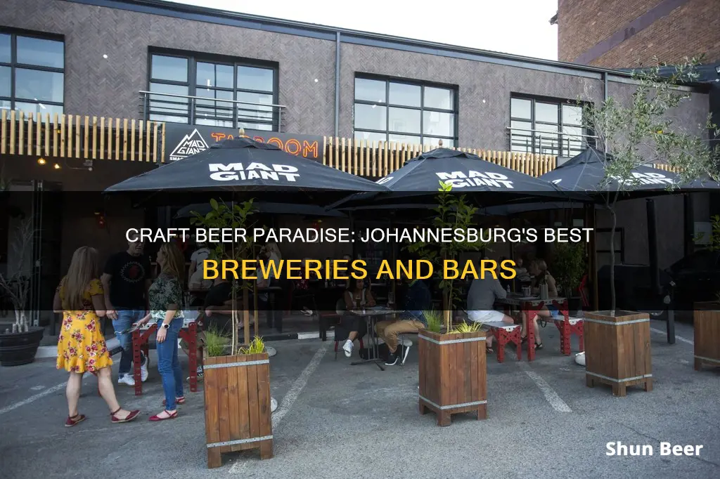 where to buy craft beer in johannesburg