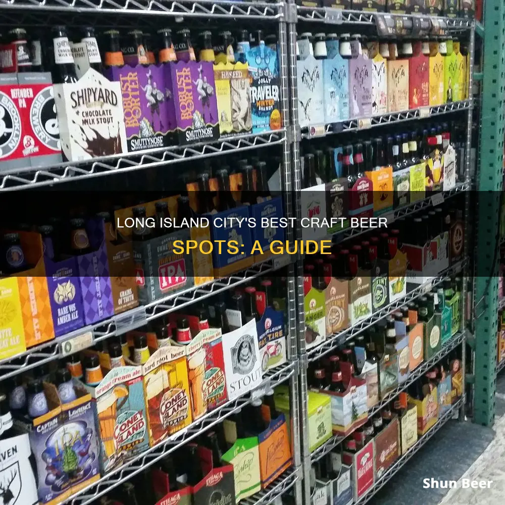 where to buy craft beer in long island city