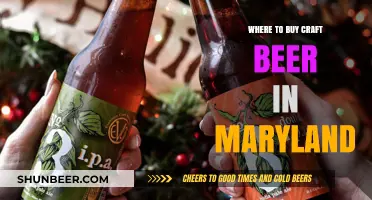 Craft Beer Haven: Maryland's Best Breweries and Stores