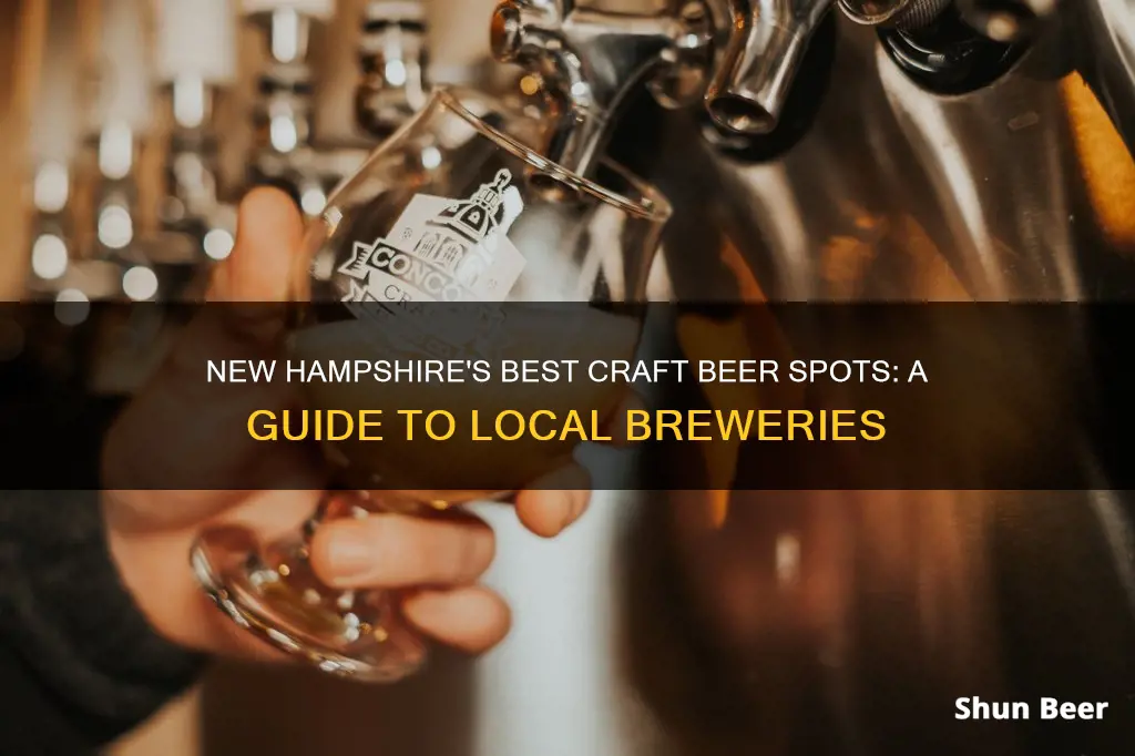 where to buy craft beer in new hampshire