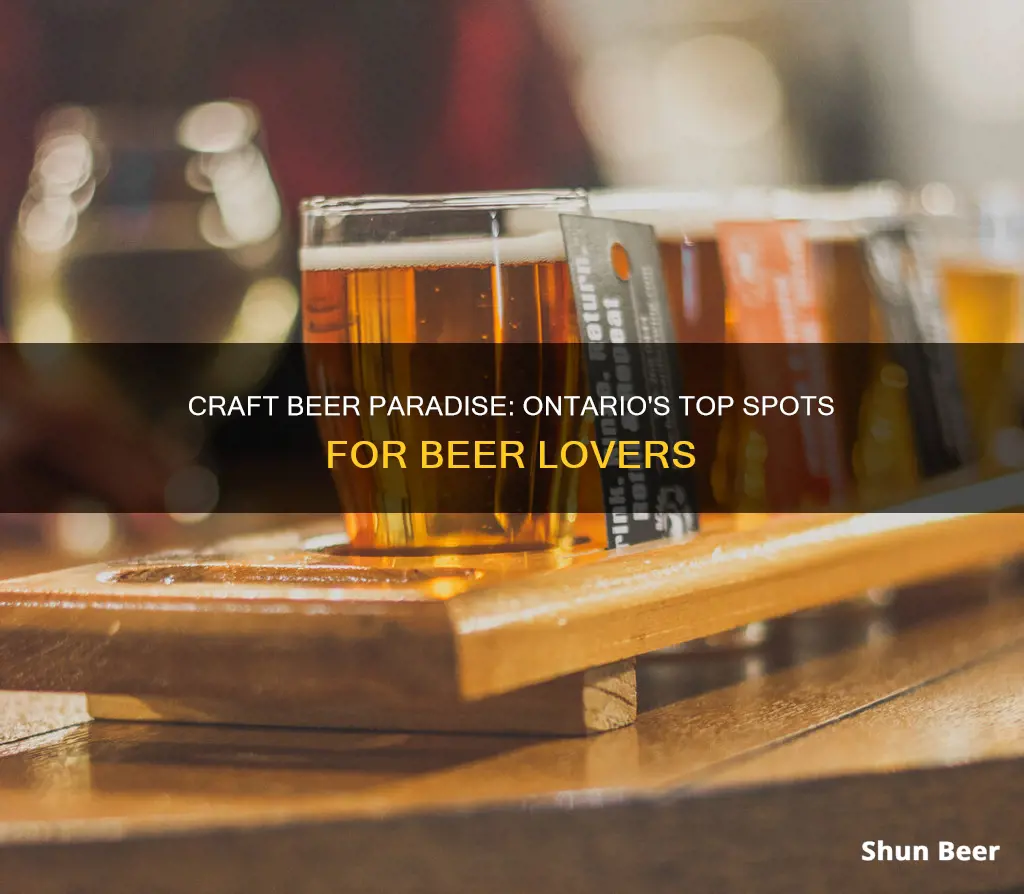 where to buy craft beer in ontairo canada