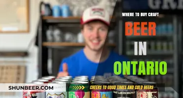 Craft Beer Enthusiast's Guide: Top Spots in Ontario