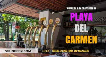 Craft Beer Paradise: Top Spots in Play del Carmen