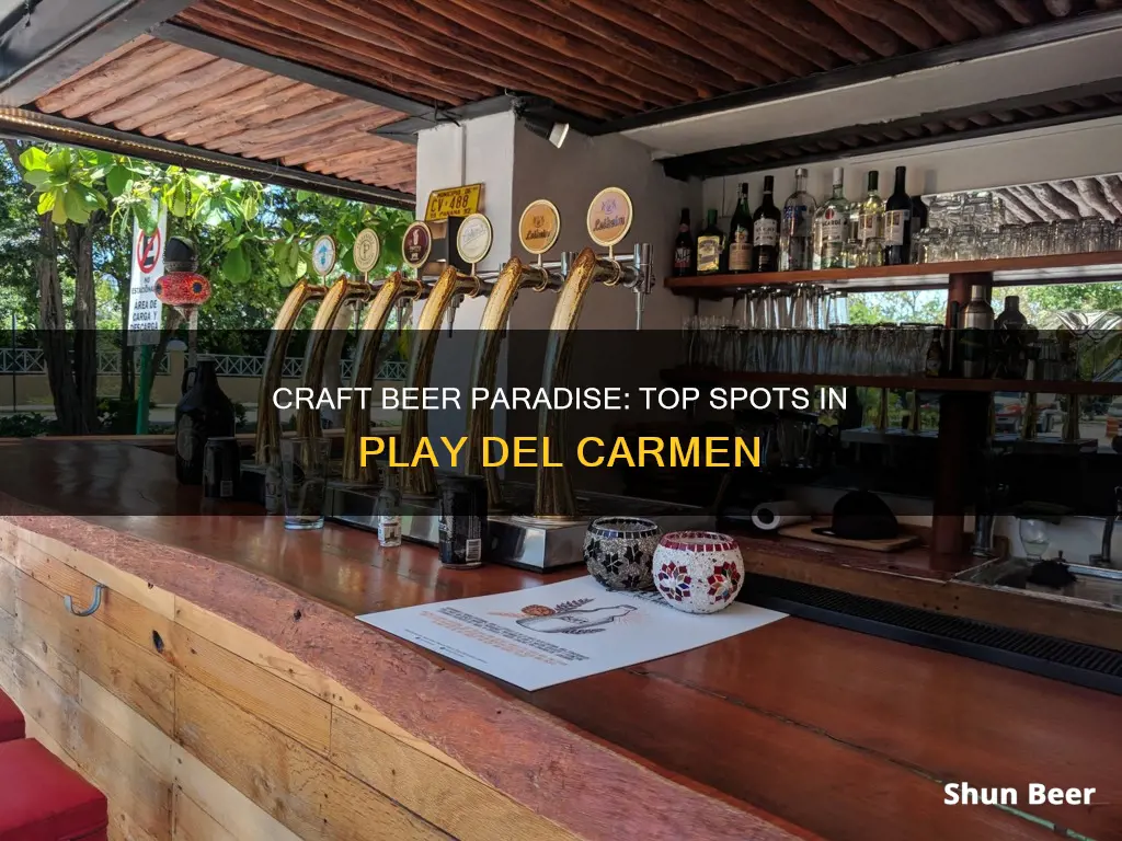 where to buy craft beer in playa del carmen