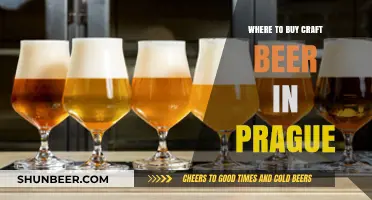 Prague's Best Craft Beer Spots: A Local's Guide