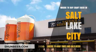 Craft Beer Paradise: Top Spots in Salt Lake City