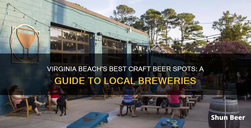 where to buy craft beer in virginia beach