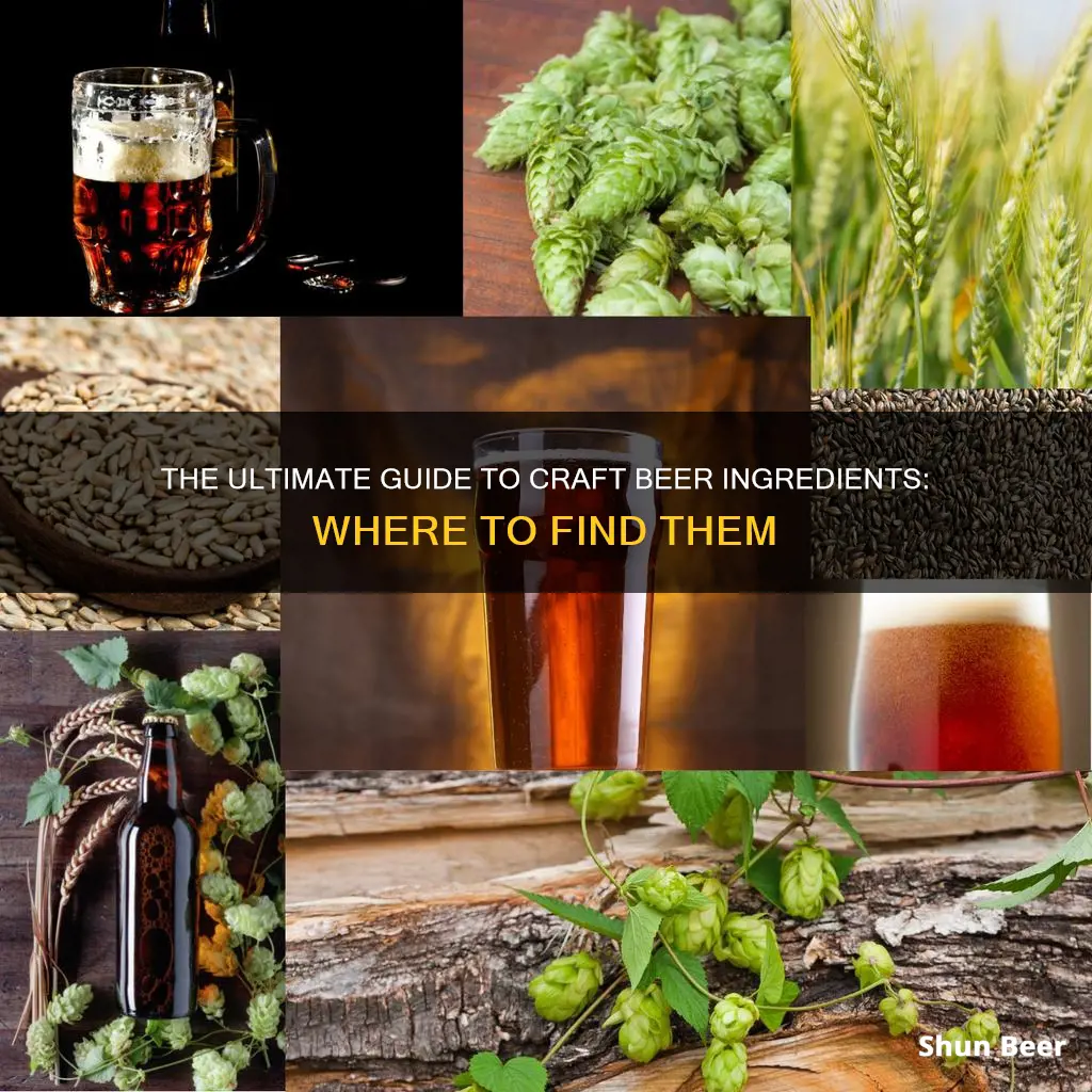 where to buy craft beer ingredients