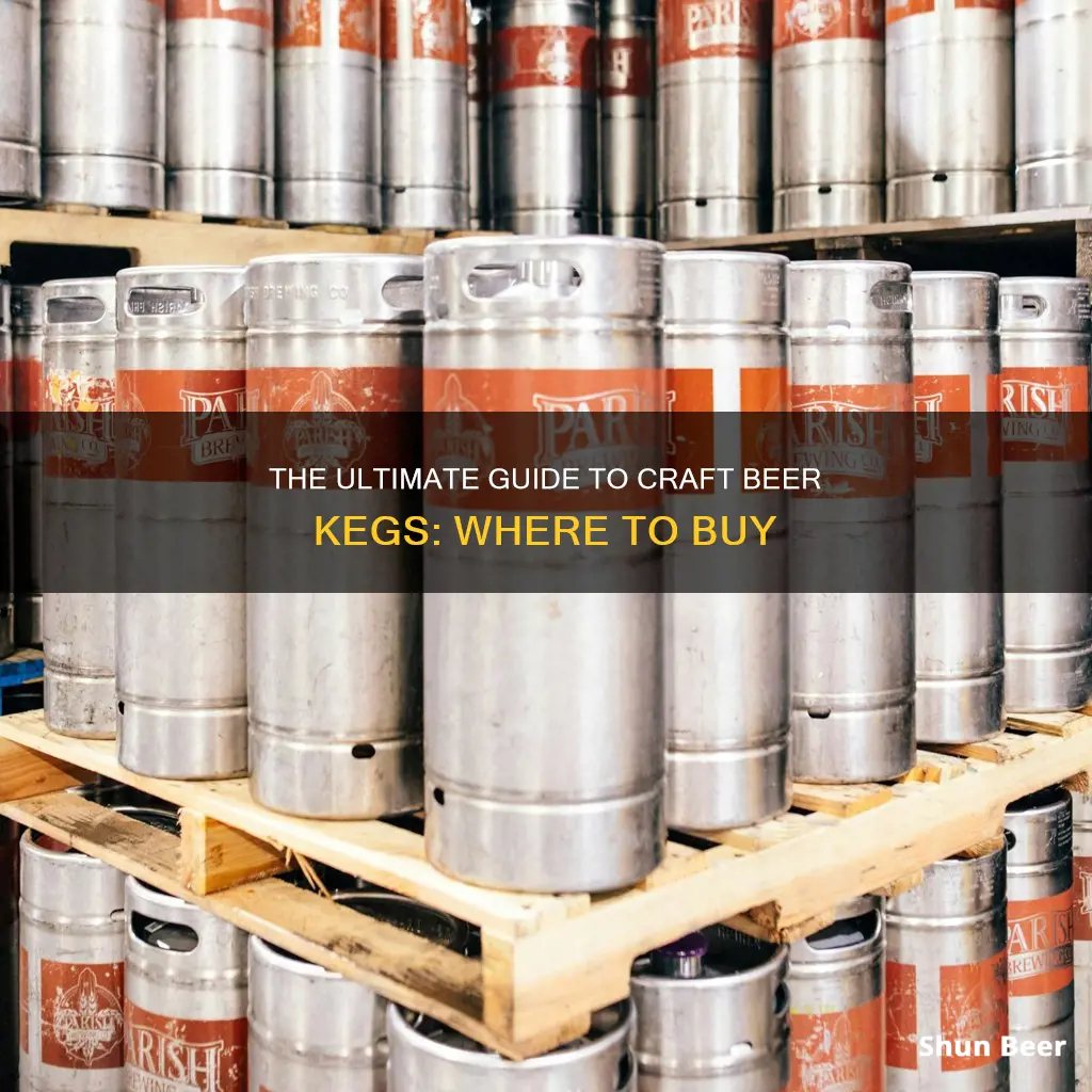 where to buy craft beer kegs