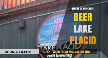 Craft Beer Paradise: Discover Lake Placid's Best Breweries