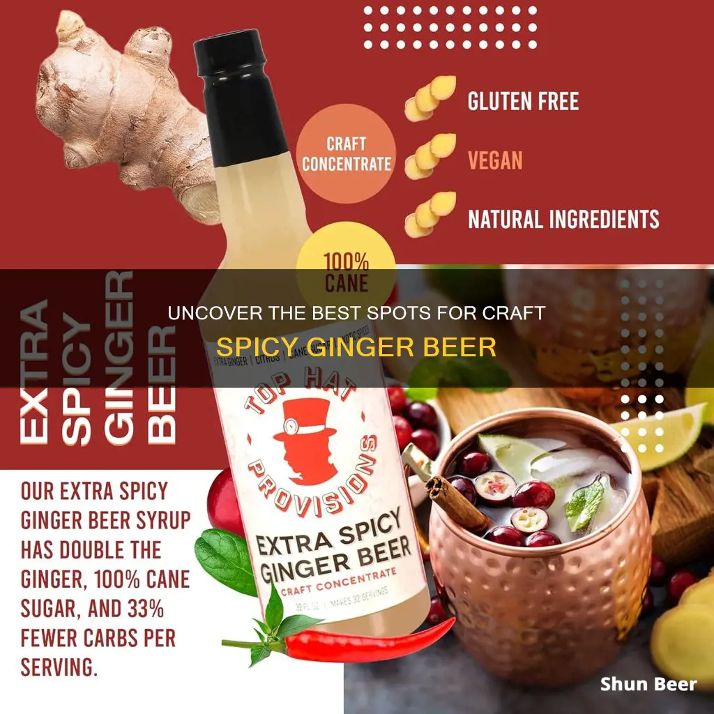 where to buy craft spicy ginger beer