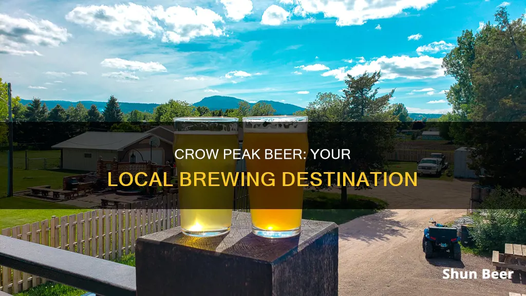 where to buy crow peak beer