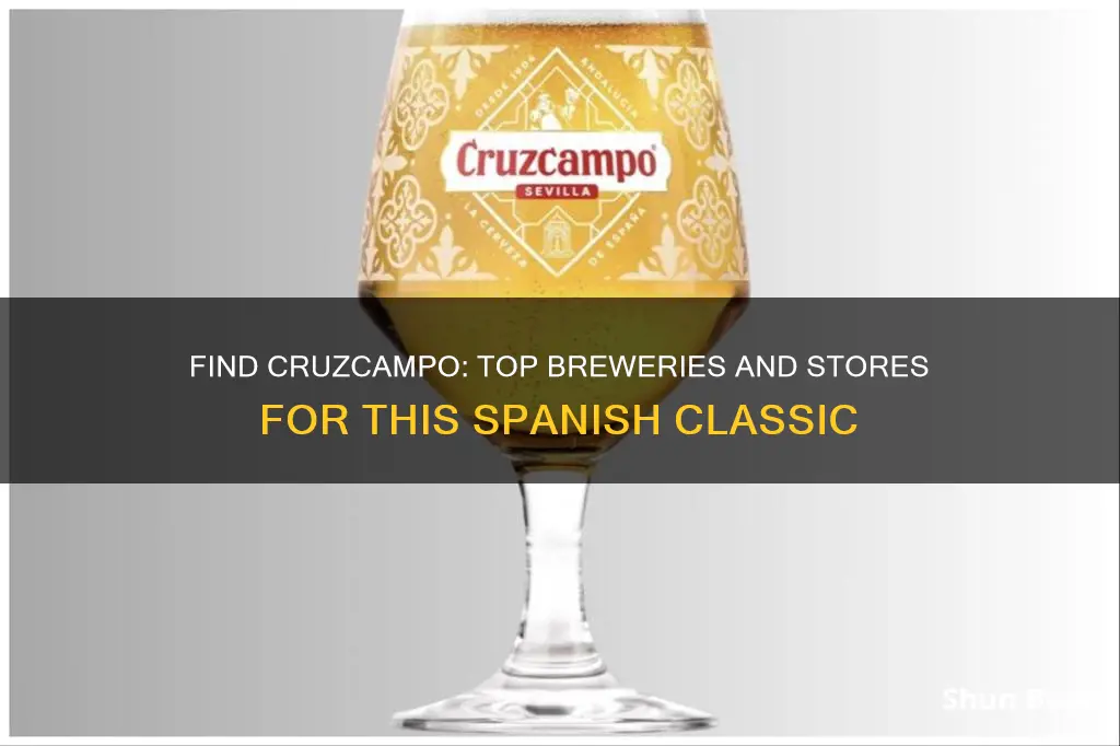 where to buy cruzcampo beer