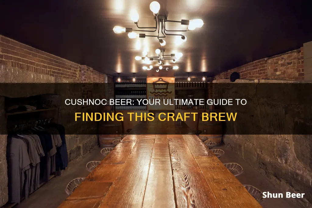 where to buy cushnoc beer