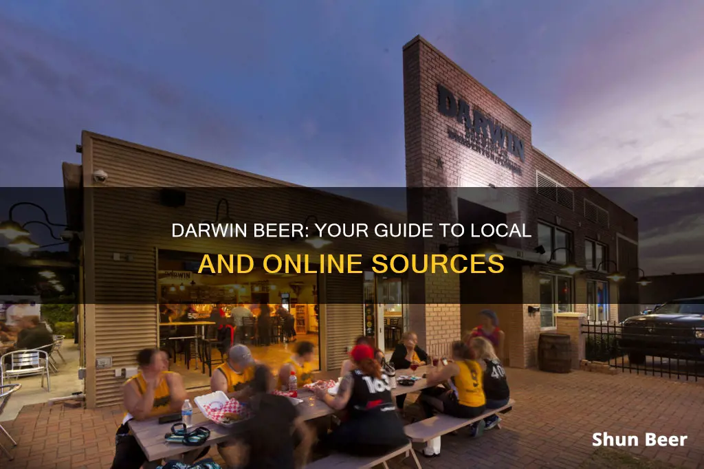 where to buy darwin beer