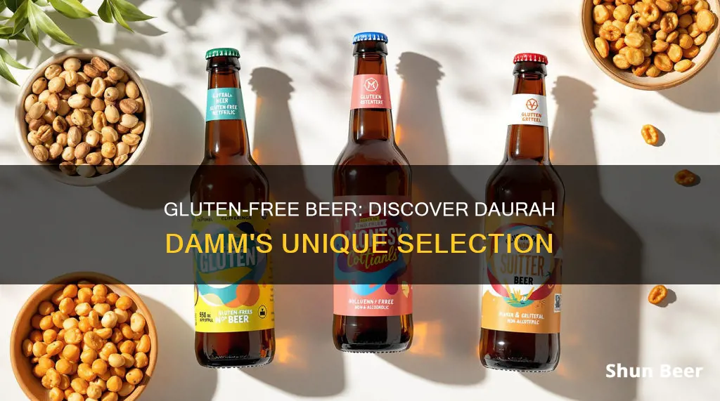 where to buy daura damm gluten free beer