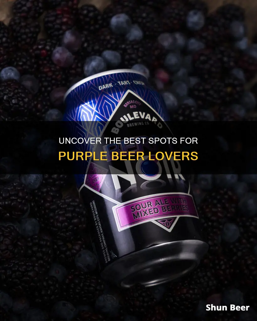 where to buy deep purple beer