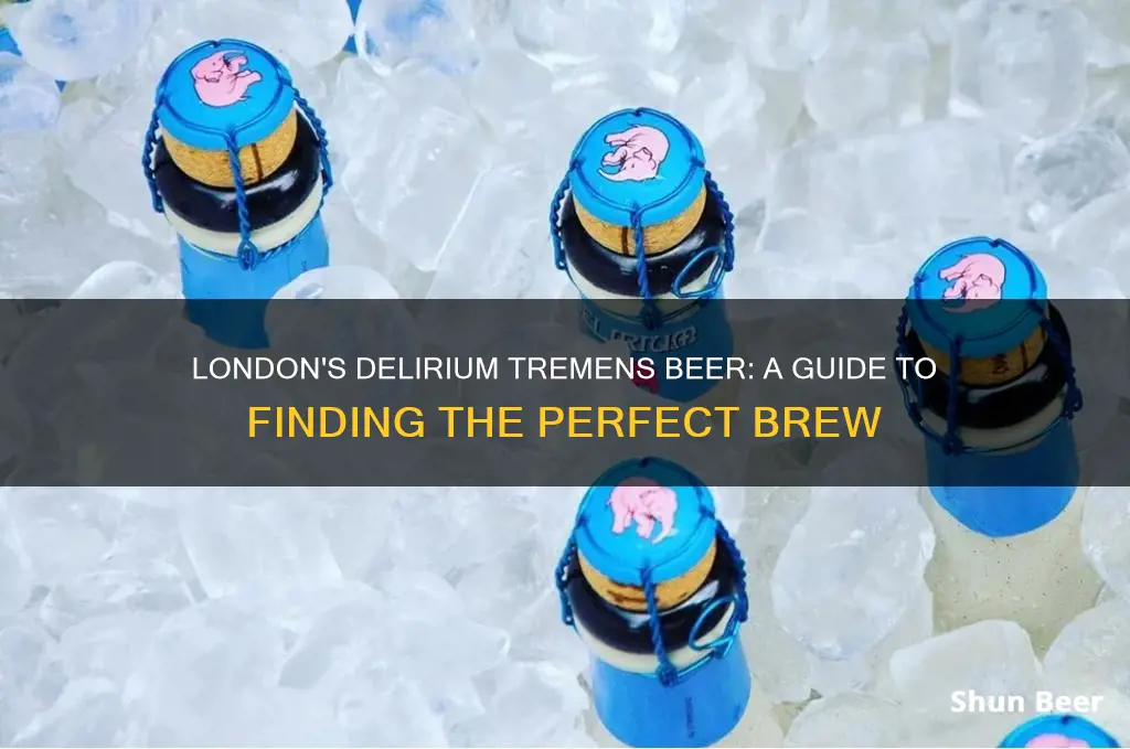 where to buy delirium tremens beer in london