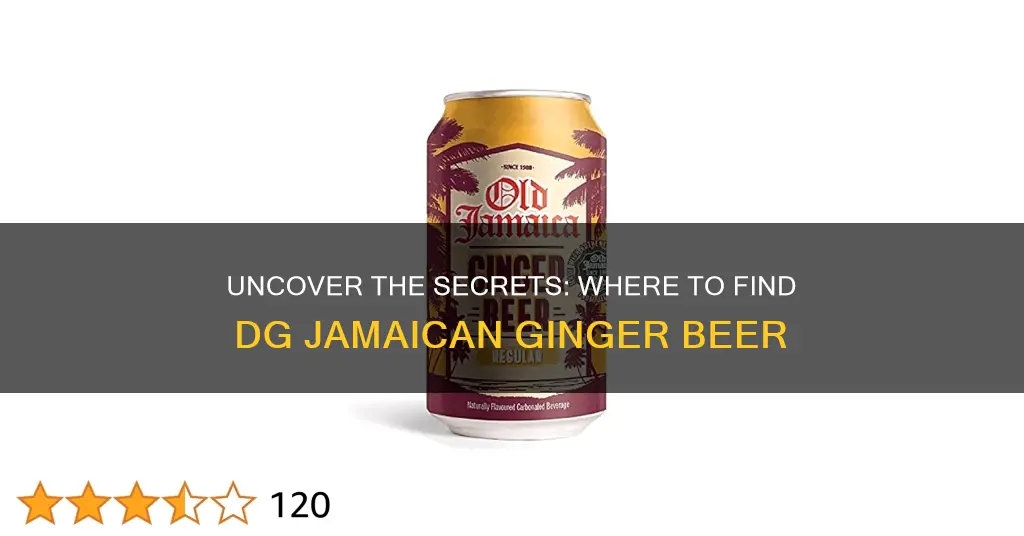 where to buy dg jamaican ginger beer