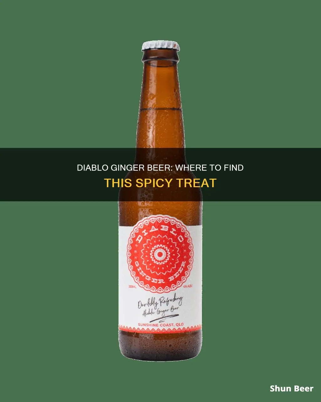 where to buy diablo ginger beer