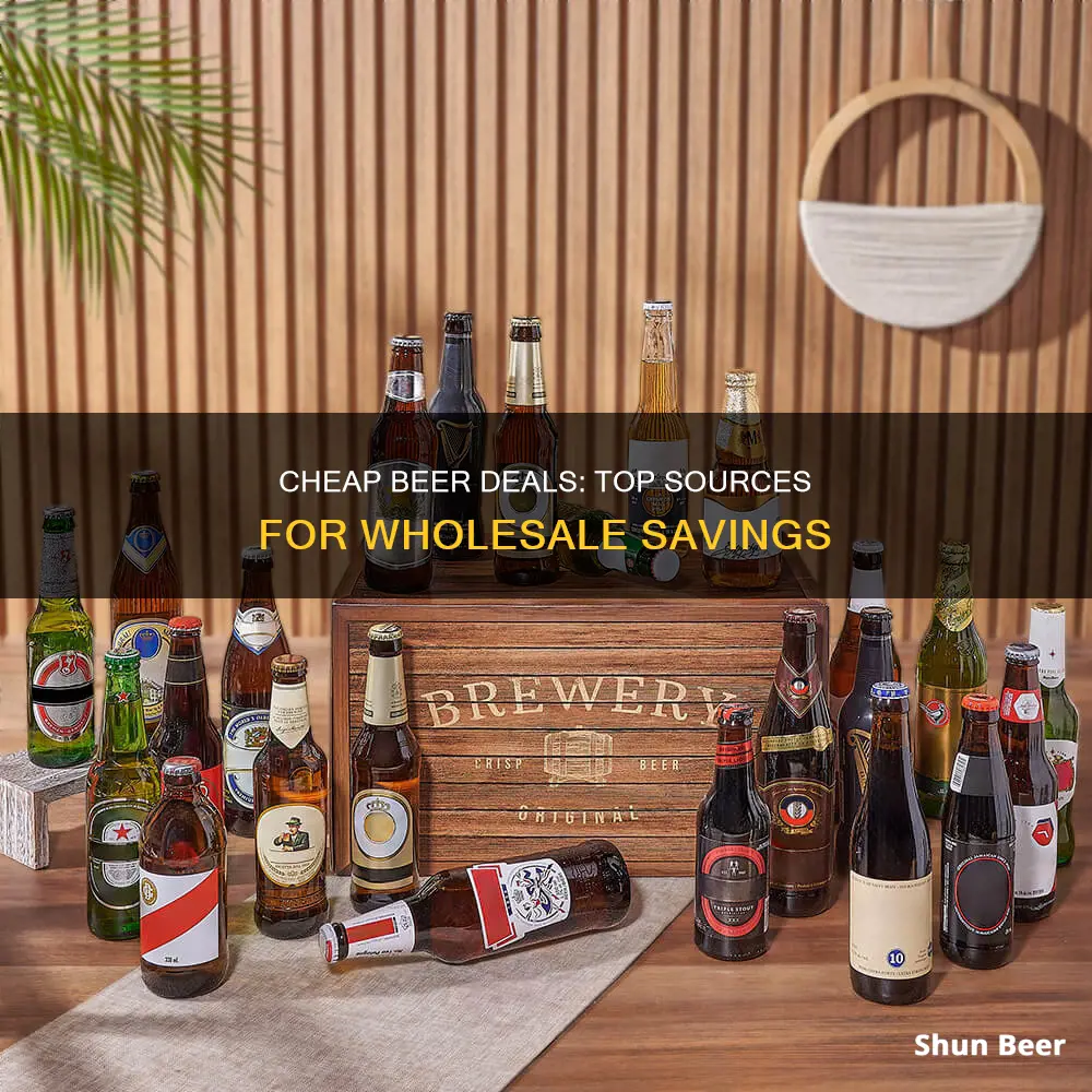 where to buy discount beer in bulk