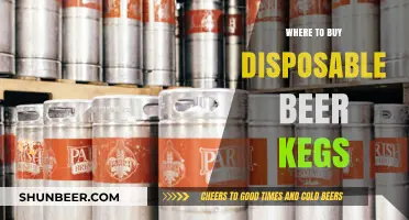 The Ultimate Guide to Buying Disposable Beer Kegs